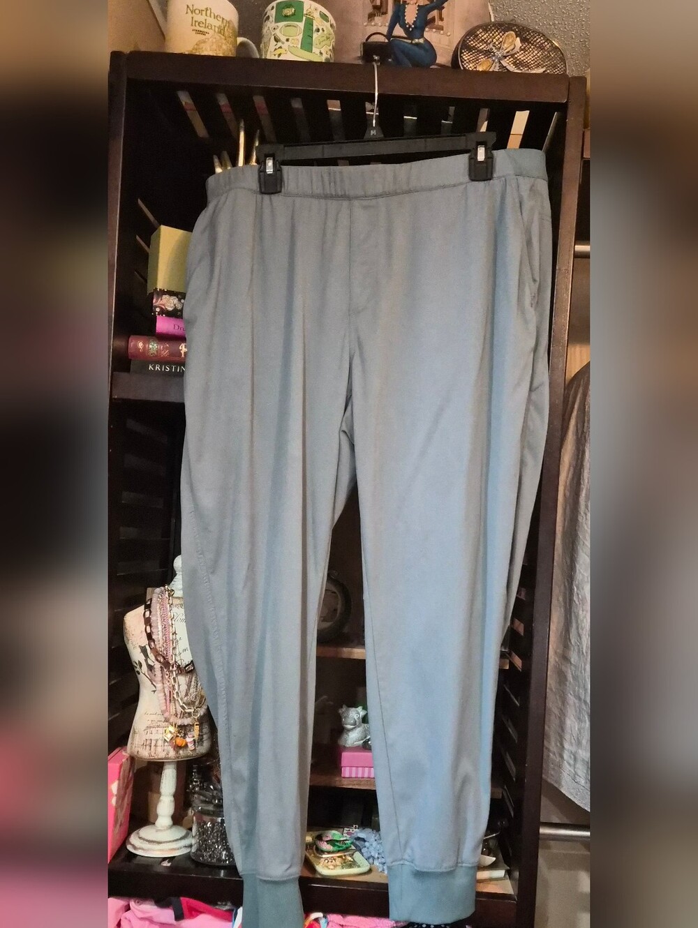 The North Face Women's Taupe Green Laterra Jogger Utility Pants, Size 1X